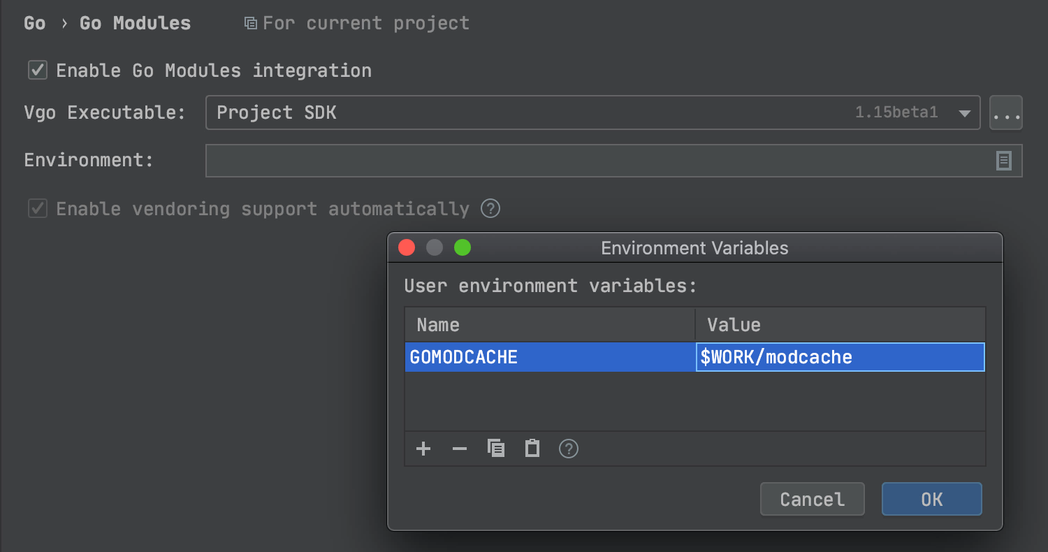 Set new GOMODCACHE environment variable in the Environment Variables dialog