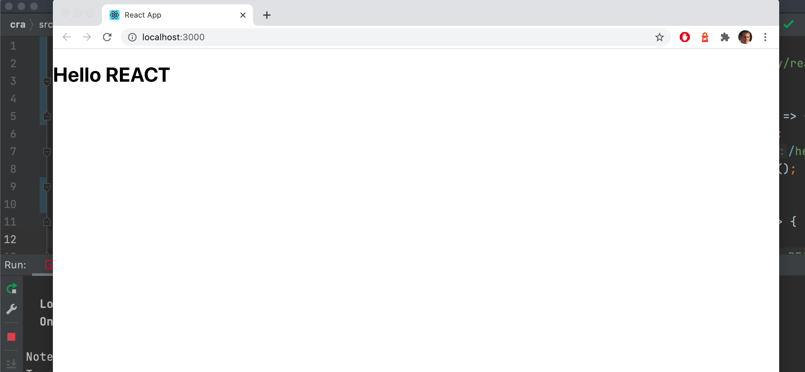 Run npm start browser