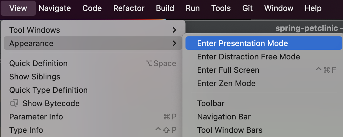 Enter Presentation Mode