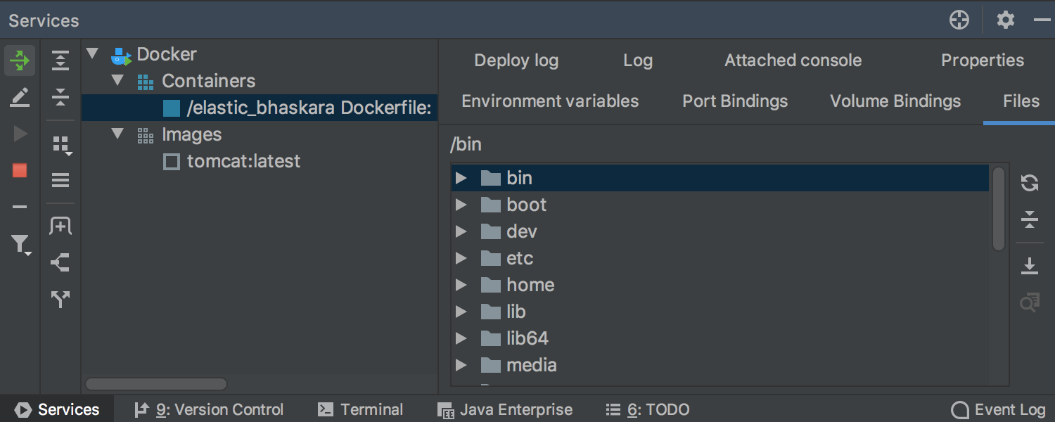 借助正在运行的 Docker 容器查看文件系统