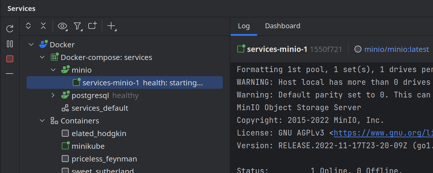 Services（服务）工具窗口中的 Docker 容器健康状态