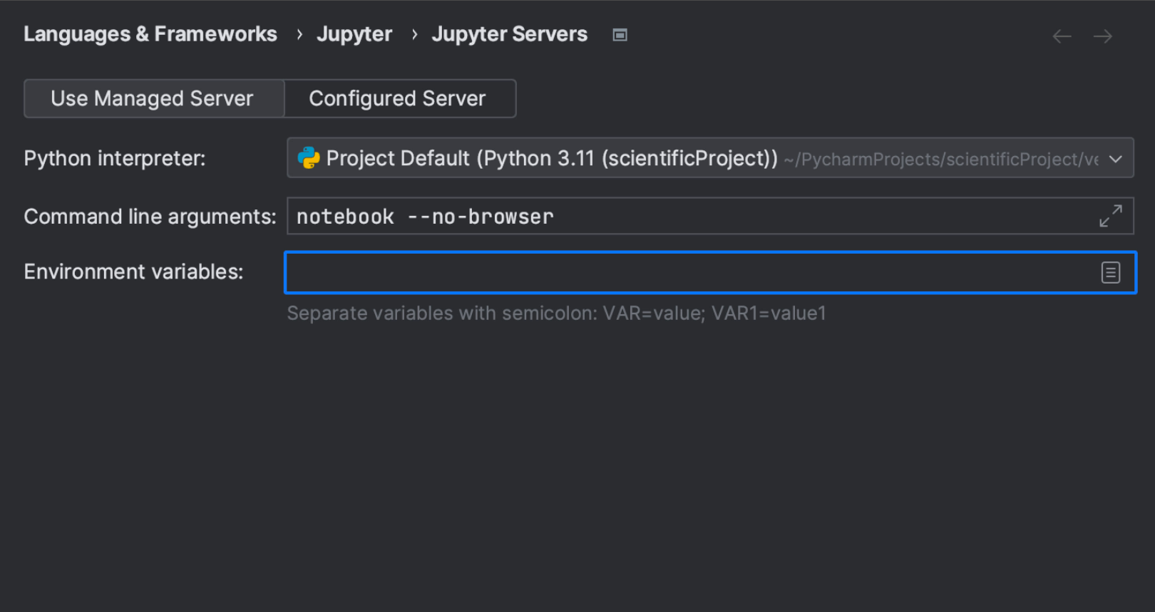 Option to configure managed Jupyter servers