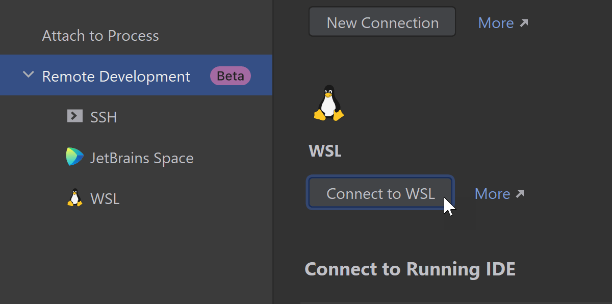 WSL 2 支持